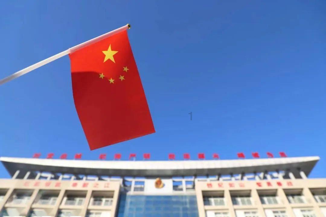 掘地挖宝